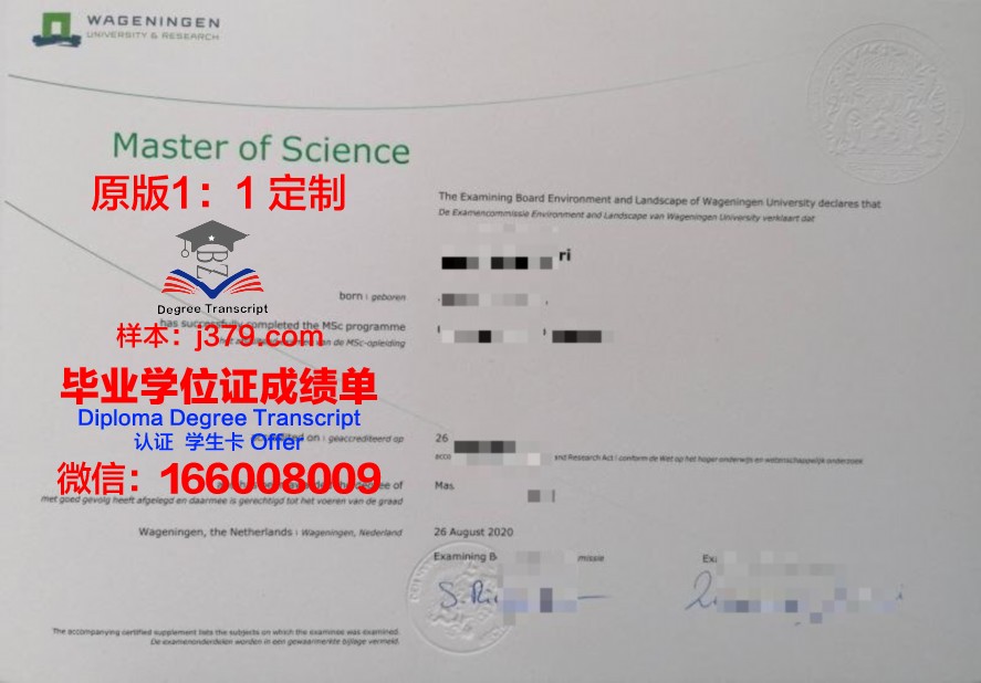 Reading Uni毕业证成绩单：记录青春足迹，见证成长历程