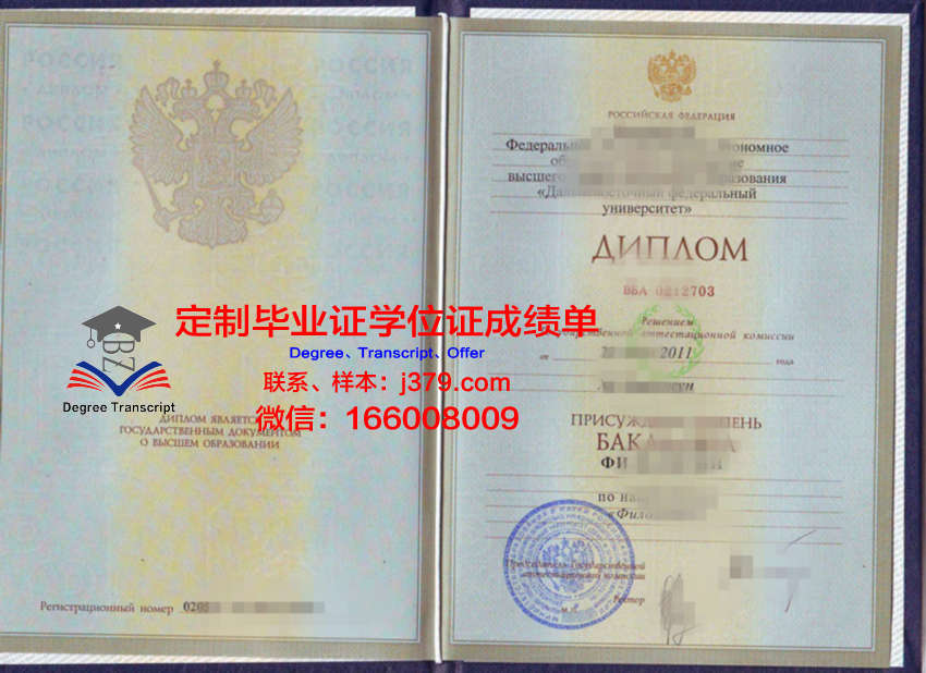 RUSFRI成绩单：揭示俄罗斯与弗里吉亚的经济、政治与文化交融