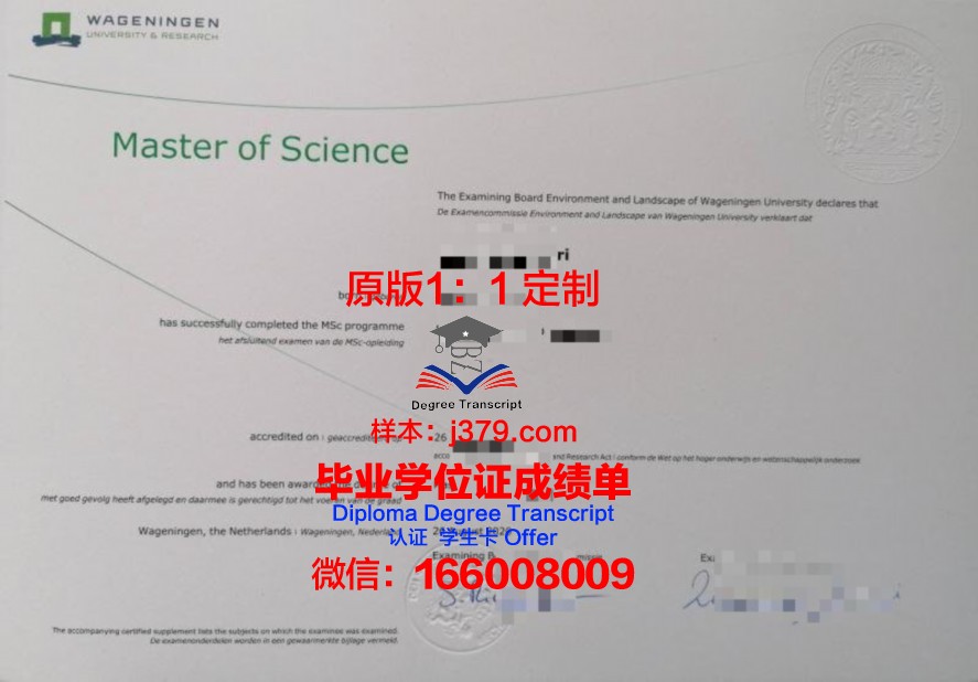 三仓大学毕业生求职必备：毕业证样本详解