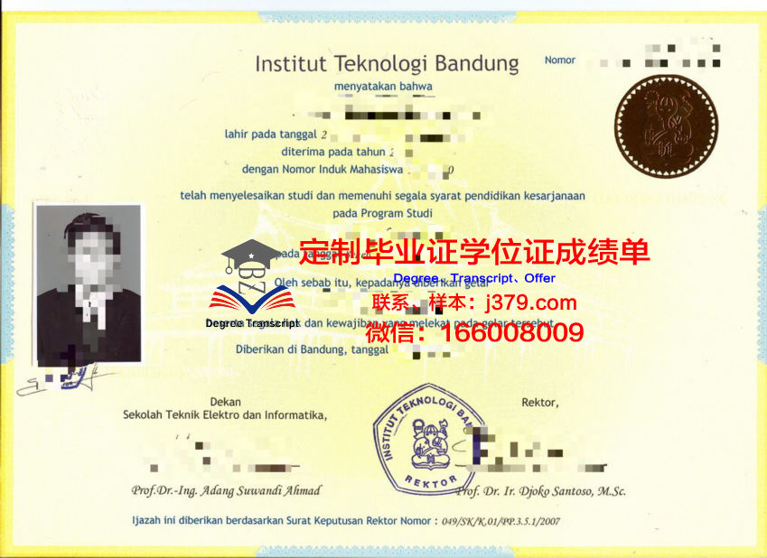 万隆技院成绩单解读：全面分析学生表现