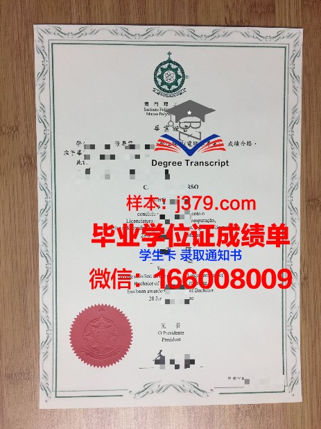 PUC-Rio博士毕业证：一份国际认可的学术荣誉