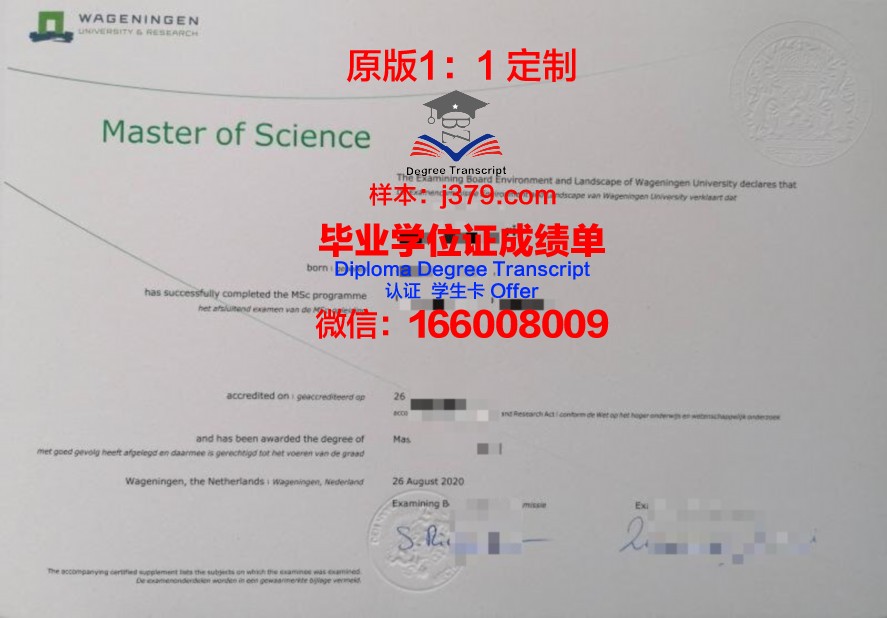 Rockford University毕业证Diploma文凭
