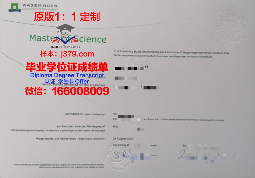 RIMC毕业证：开启国际教育新篇章的通行证