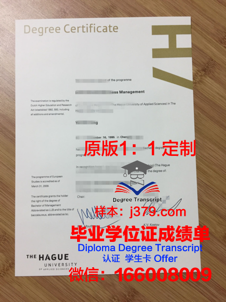 海牙皇家艺术学院毕业证图片