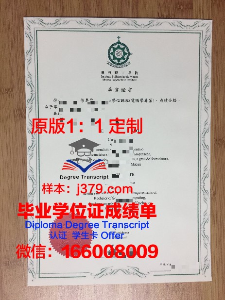 NUR大毕业证定制：传承匠心，铸就辉煌