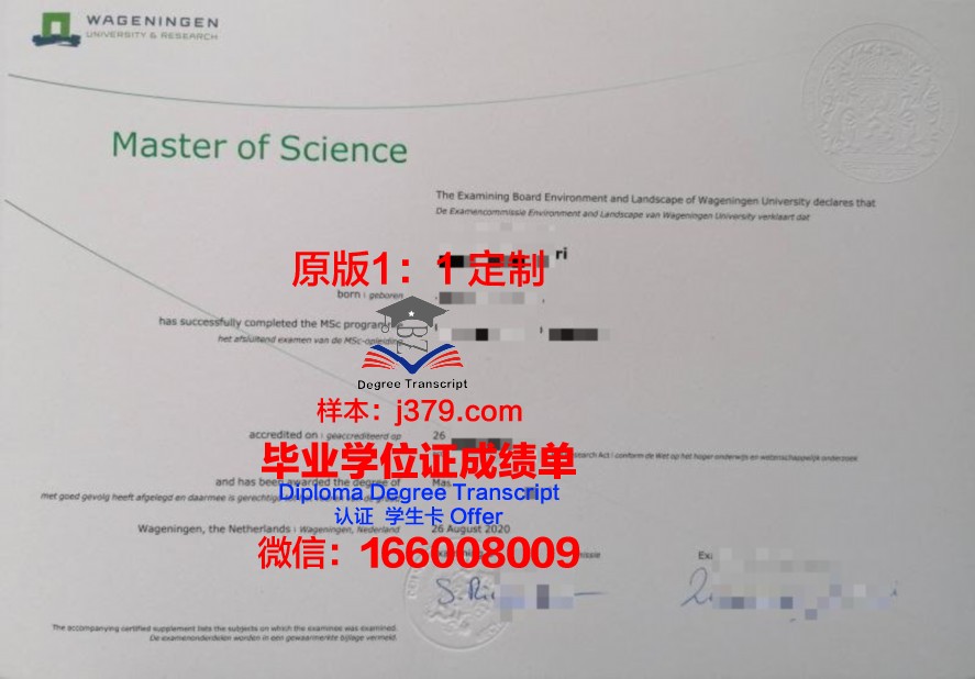 Southbank本科毕业证：开启国际化教育新篇章