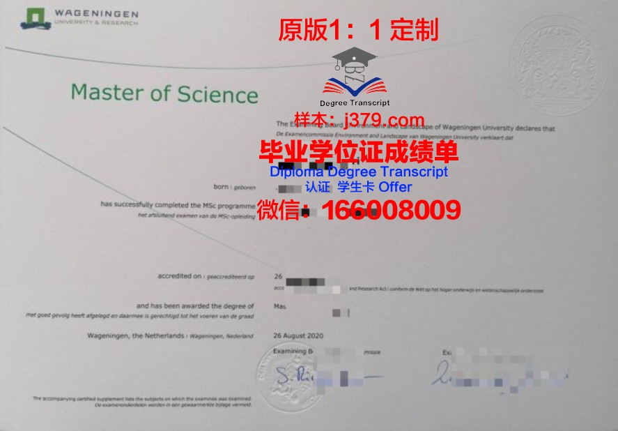SKL本科毕业证：开启未来之门的钥匙