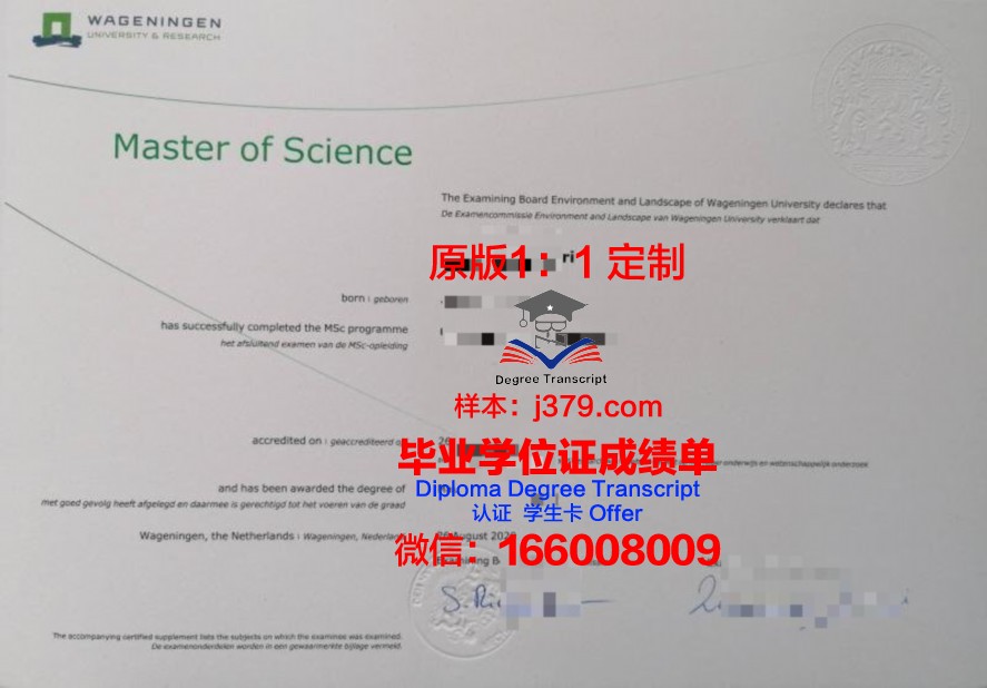 国外研究生毕业证等级(国外的研究生毕业证国内认可吗)