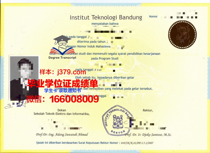 万隆技院研究生证书与职业发展关系