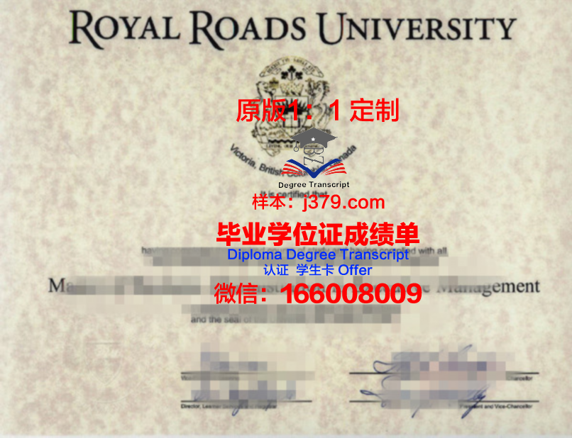 国外学位证书国内专业(国外学位国内认可吗)