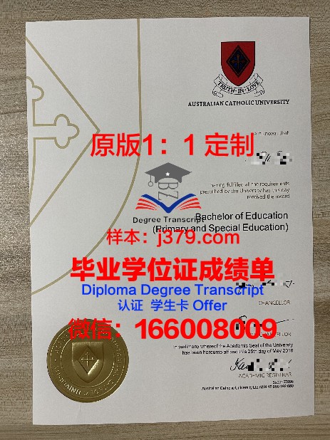 里约热内卢天主教大学毕业证成绩单