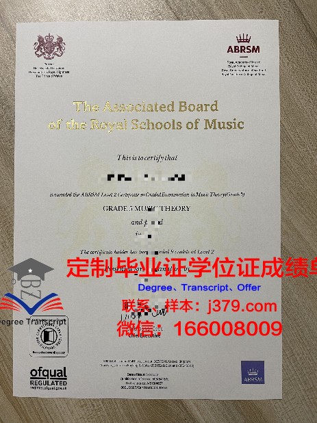UP11毕业证书保护壳
