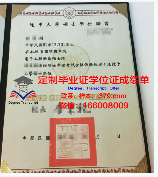 PoliTo学位证成绩单：一份具有国际影响力的学术证明