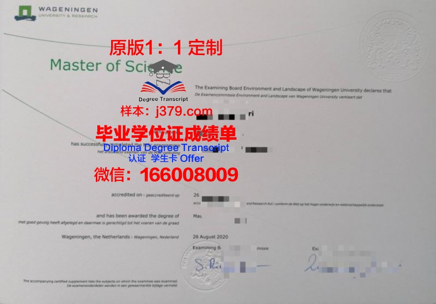 一探究竟：安娜毕业证样式特点