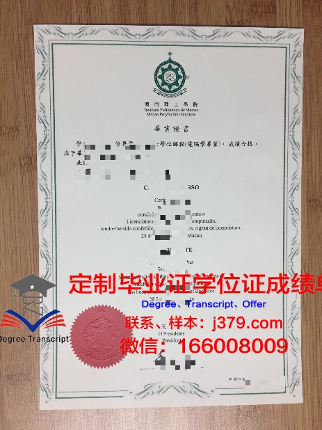 一窥思大毕业证样式的独特魅力