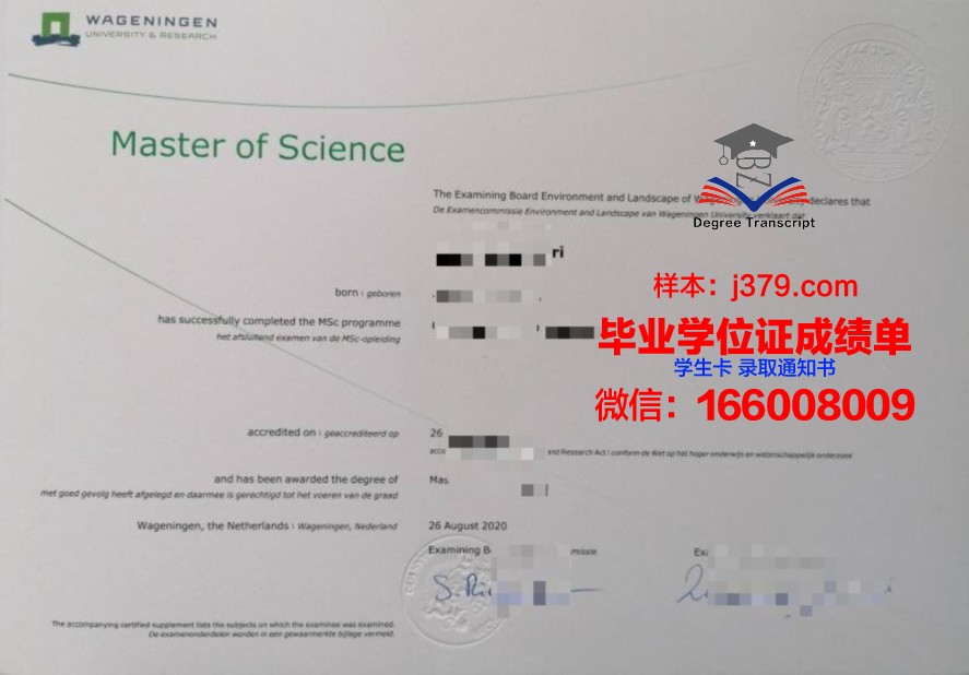浸礼会圣经学院博士毕业证：信仰与学术的完美融合