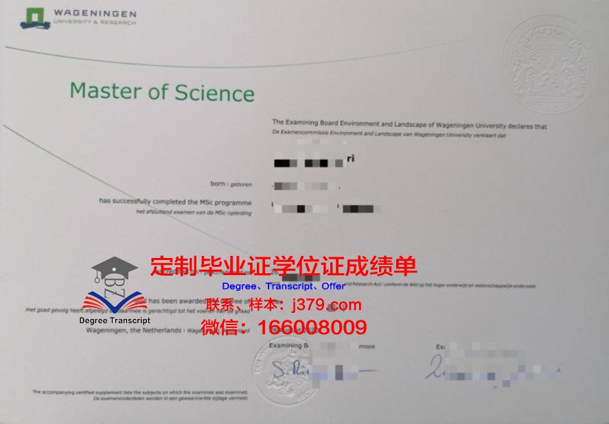 UCLA毕业证图片：探寻证书背后的故事