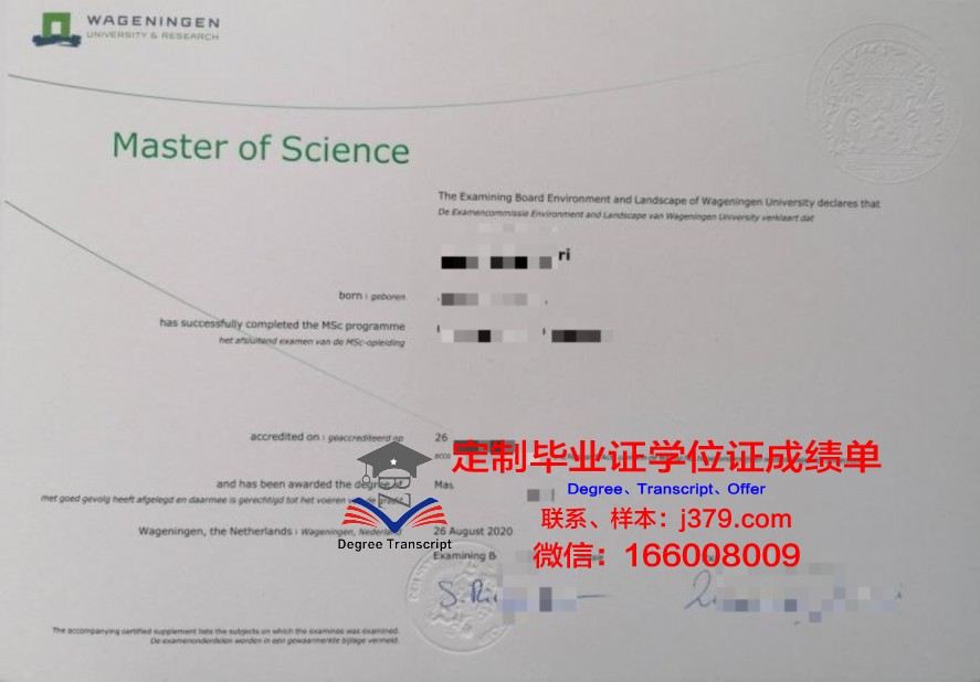 涅任国立大学毕业证成绩单：一份承载荣誉与梦想的证明