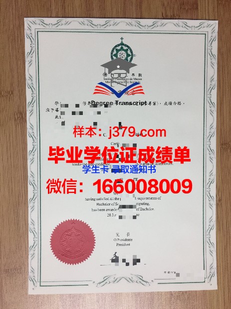 Southern Academy of Business and Techmology ( SABT )毕业证成绩单