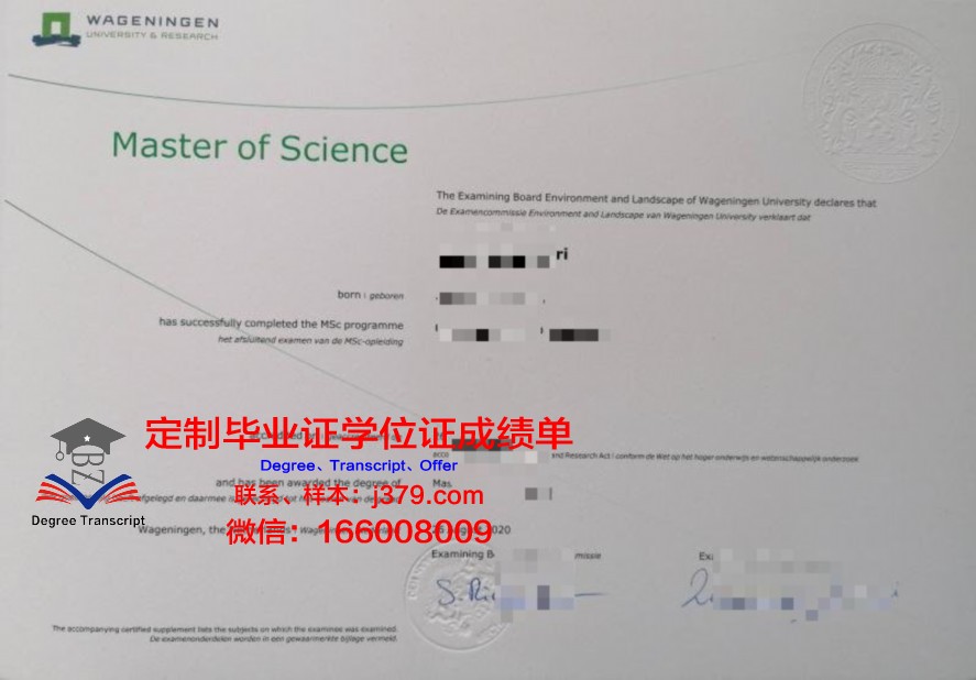潘普洛纳大学本科毕业证(潘普洛纳在哪里)