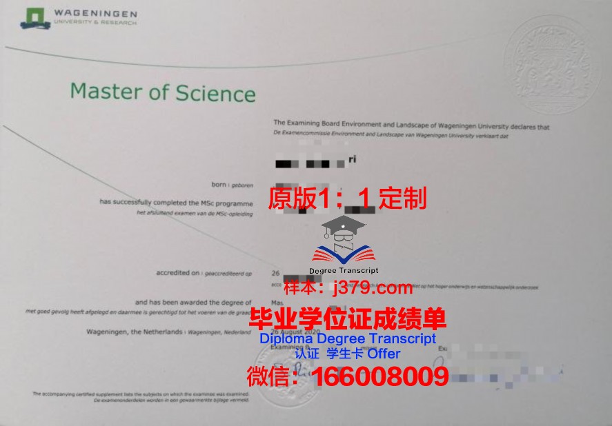 PUC-RJ博士毕业证：一份承载荣誉与责任的证书