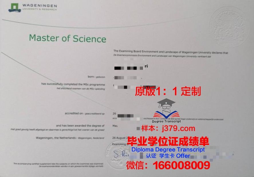 SPBTU本科毕业证：承载知识与梦想的通行证