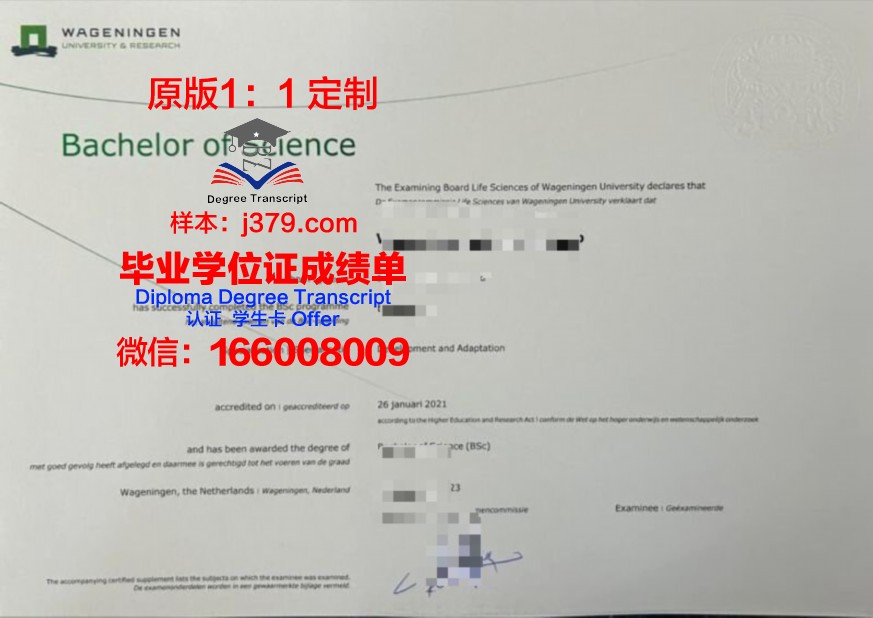 国外本科毕业证可以考事业编吗(国外本科可以考事业单位吗)