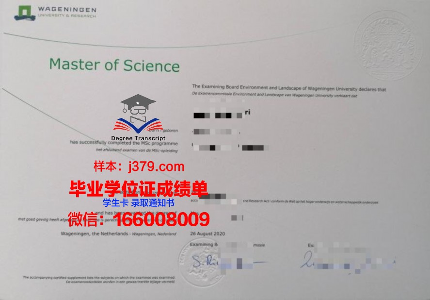 韩东大学毕业证模板(韩硕毕业证)