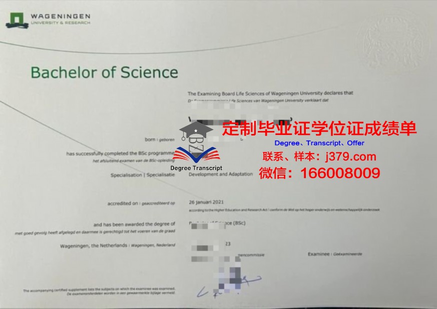 ps本科学历(ps本科毕业证)