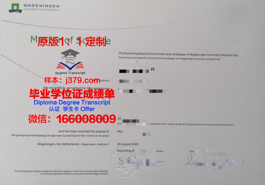金斯敦商业理工学院毕业证图片
