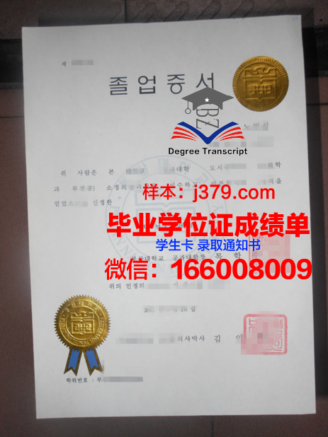 釜山大学毕业文凭