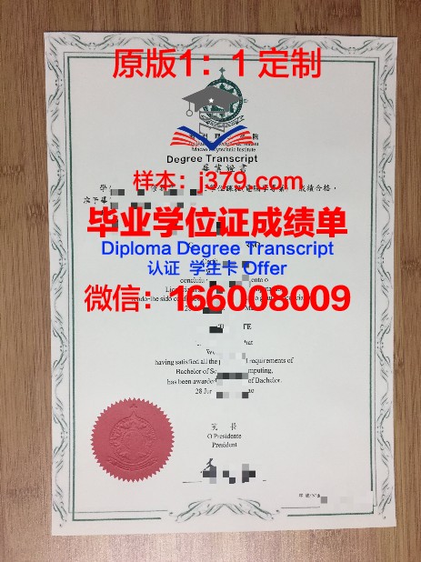 一桥毕业证样式变迁史：历年对比
