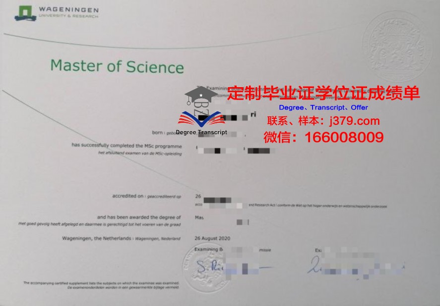 Pimlico State High School毕业证展示