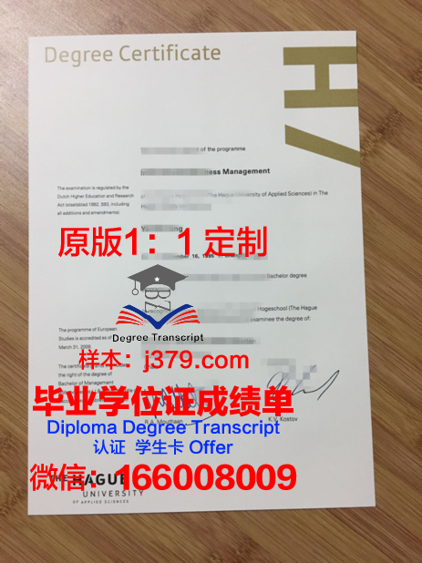 海牙皇家艺术学院毕业证成绩单
