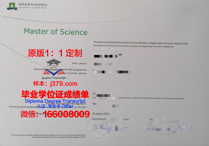 NTUU毕业证：一张纸的重量与价值