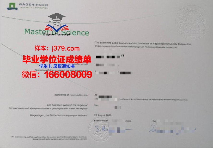 国外毕业证怎么考(国外毕业证能考研吗)