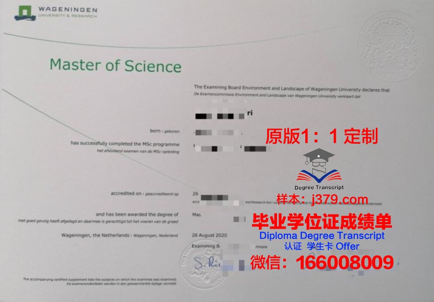 Saint Jean Baptiste High School毕业证图片