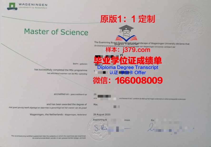 韩中大学毕业证样本(韩国大学毕业证书国内承认吗)