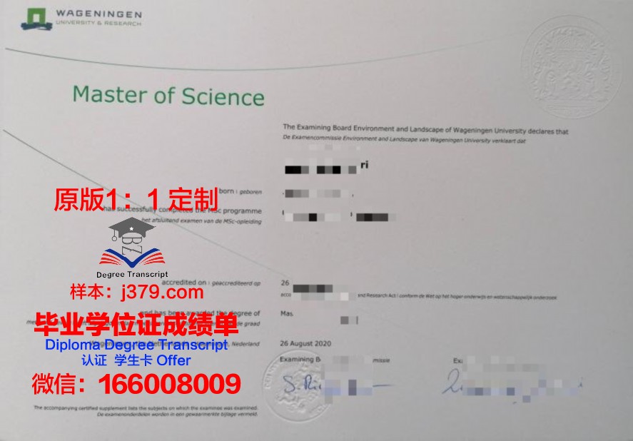 港中深和港中文毕业证一样吗(港中文和港中深的关系)