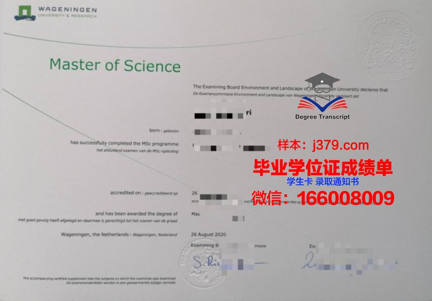 一桥大学研究生毕业证样本展示