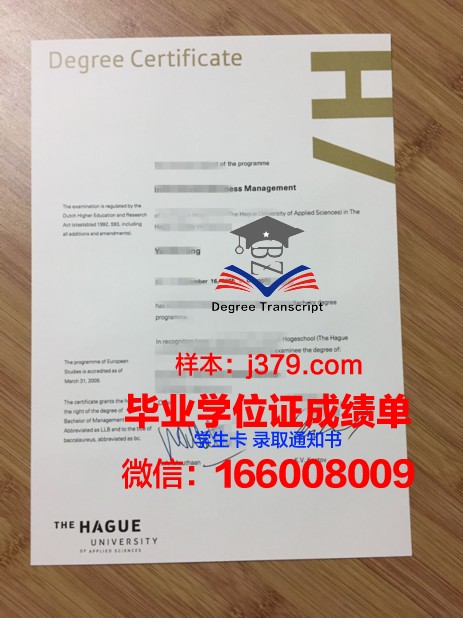 海牙酒店学院博士毕业证：开启国际酒店管理新篇章