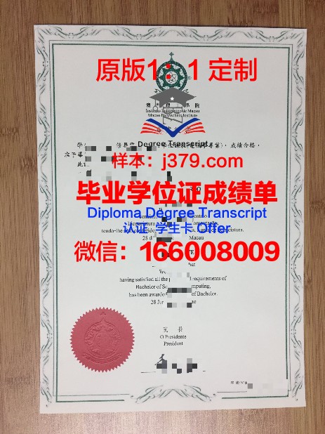 P-ton本科毕业证：一张承载梦想与荣誉的证书