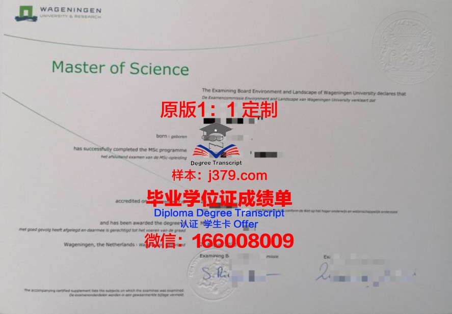一站式解决：道大毕业证补办全方位指南