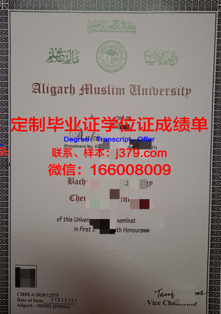 阿里格尔穆斯林大学毕业证图片