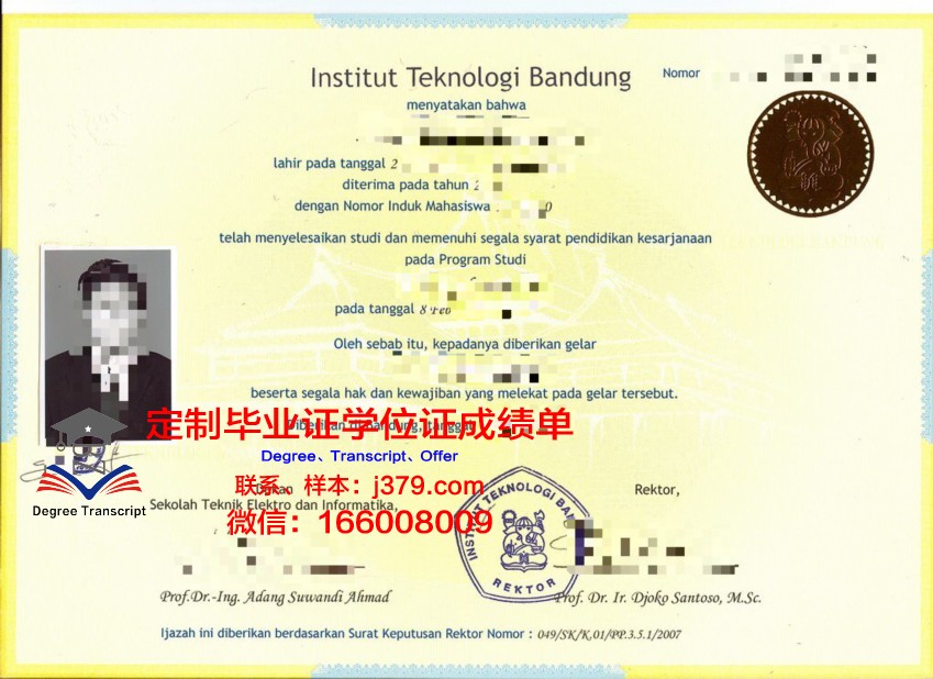 万隆技院本科毕业证：毕业生的就业率与薪资水平