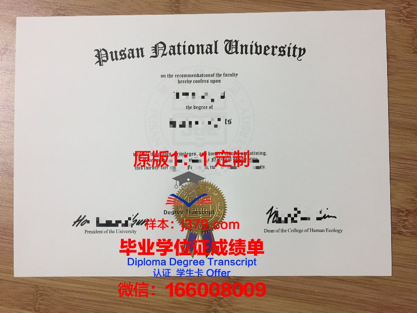 釜山大学毕业证成绩单