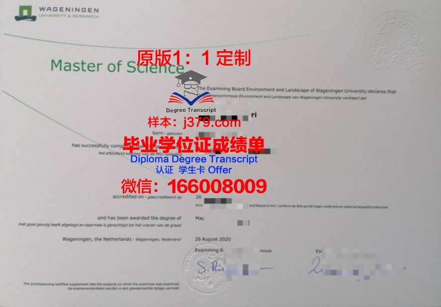 韩信大学毕业证什么样子(韩信哪里学的本事)