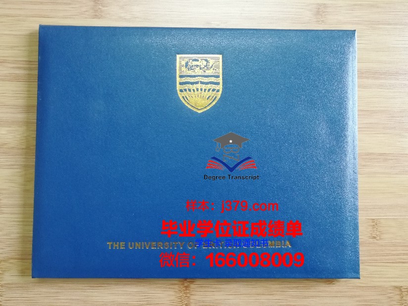 伊理工毕业证壳子设计理念解读