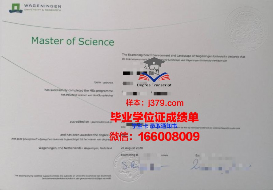 滨海大学敦刻尔克国际高等商学院毕业证尺寸