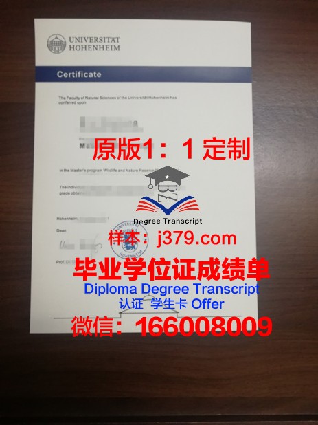 霍恩海姆大学毕业证成绩单
